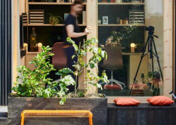 Horta no quintal: como fazer, o que plantar e 50 ideias para colocar em prática