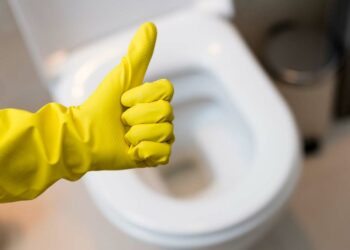 Como limpar vaso sanitário encardido: dicas práticas para seguir já