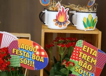 Plaquinhas de festa junina: 40 ideias para arrasar no arraiá