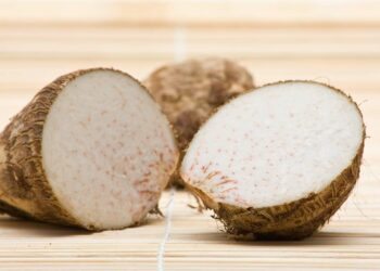 Como plantar inhame: veja o passo a passo prático para seguir