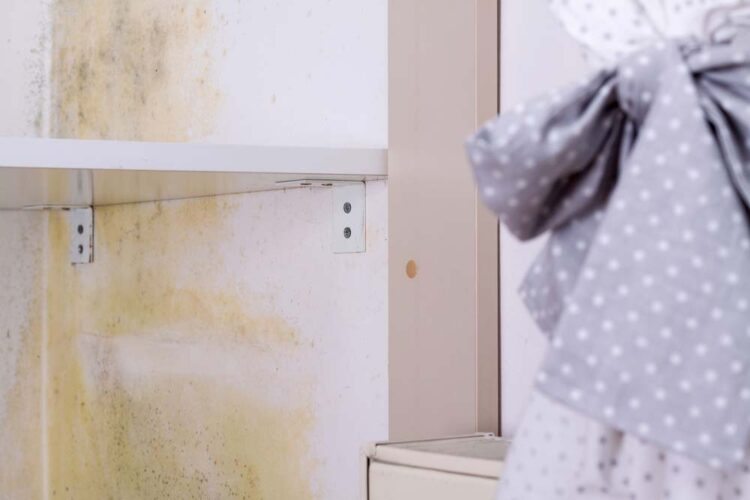 Mofo no Guarda-Roupa: Como Tirar e Dicas Para a Limpeza