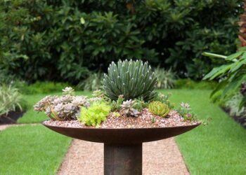 Arranjos de suculentas: como fazer e 50 ideias para se inspirar