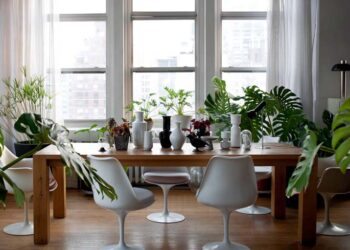 Plantas de sombra: as melhores espécies para cultivar em casa