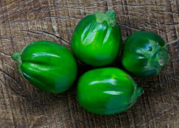 Como tirar o amargo do jiló: dicas certeiras de especialistas