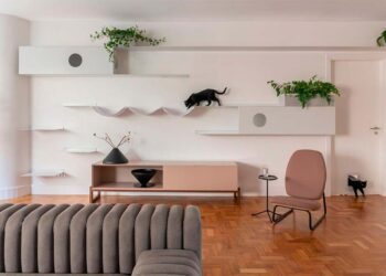 Decoração para espaço para pet: ideias e playground para casa