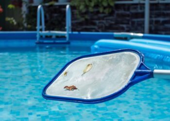 Produtos para limpar piscina: 11 itens que nunca devem faltar