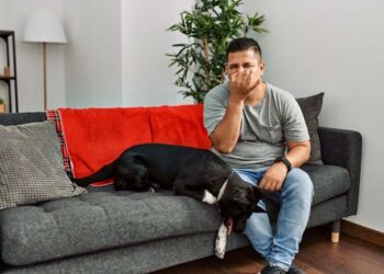 Como tirar mau cheiro do sofá: 5 dicas úteis para deixá-lo cheirosinho