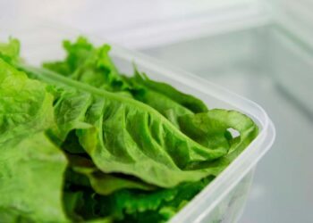 Como conservar alface: o guia completo com passo a passo