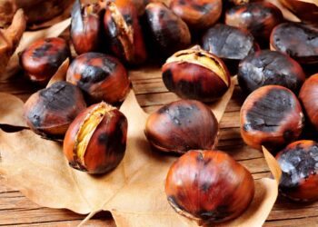 Como cozinhar castanha portuguesa: 5 formas fáceis e simples