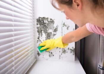 Como tirar mofo da parede: 5 soluções fáceis e comprovadas