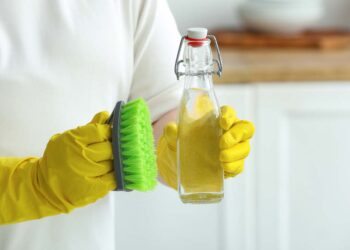 Vinagre para limpeza: benefícios, onde usar e dicas profissionais