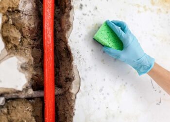 Bolhas na parede: causas comuns, soluções e como prevenir?