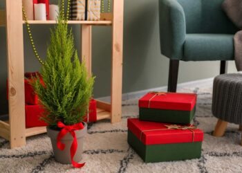 Tuia holandesa: principais características, como cuidar e 50 ideias na décor