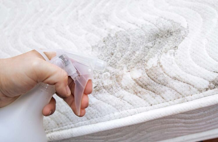 Como Limpar Colchão: 9 Passos e Dicas Para Tirar Manchas