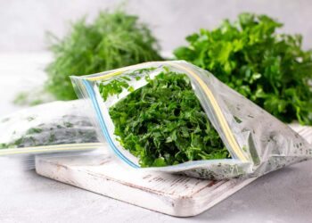 Como conservar coentro: 5 técnicas eficazes e passo a passo