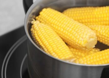 Como cozinhar milho: 6 formas fáceis com dicas profissionais