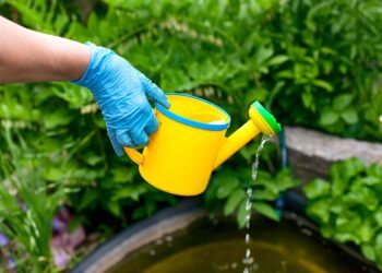 Reuso de água: importância, como fazer e dicas para adotar agora mesmo