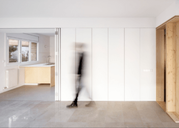 Porta camarão: conheça as suas vantagens e desvantagens