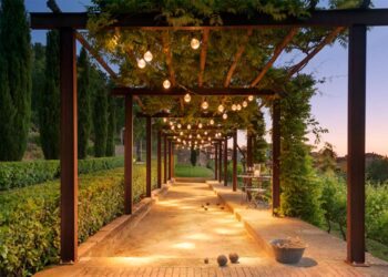 Pergolado de eucalipto: vantagens, como fazer e 50 inspirações