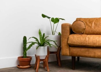 Poltrona para sala: 65 ideias incríveis para te ajudar na escolha